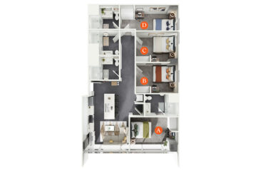 D1 Floor Plan Layout
